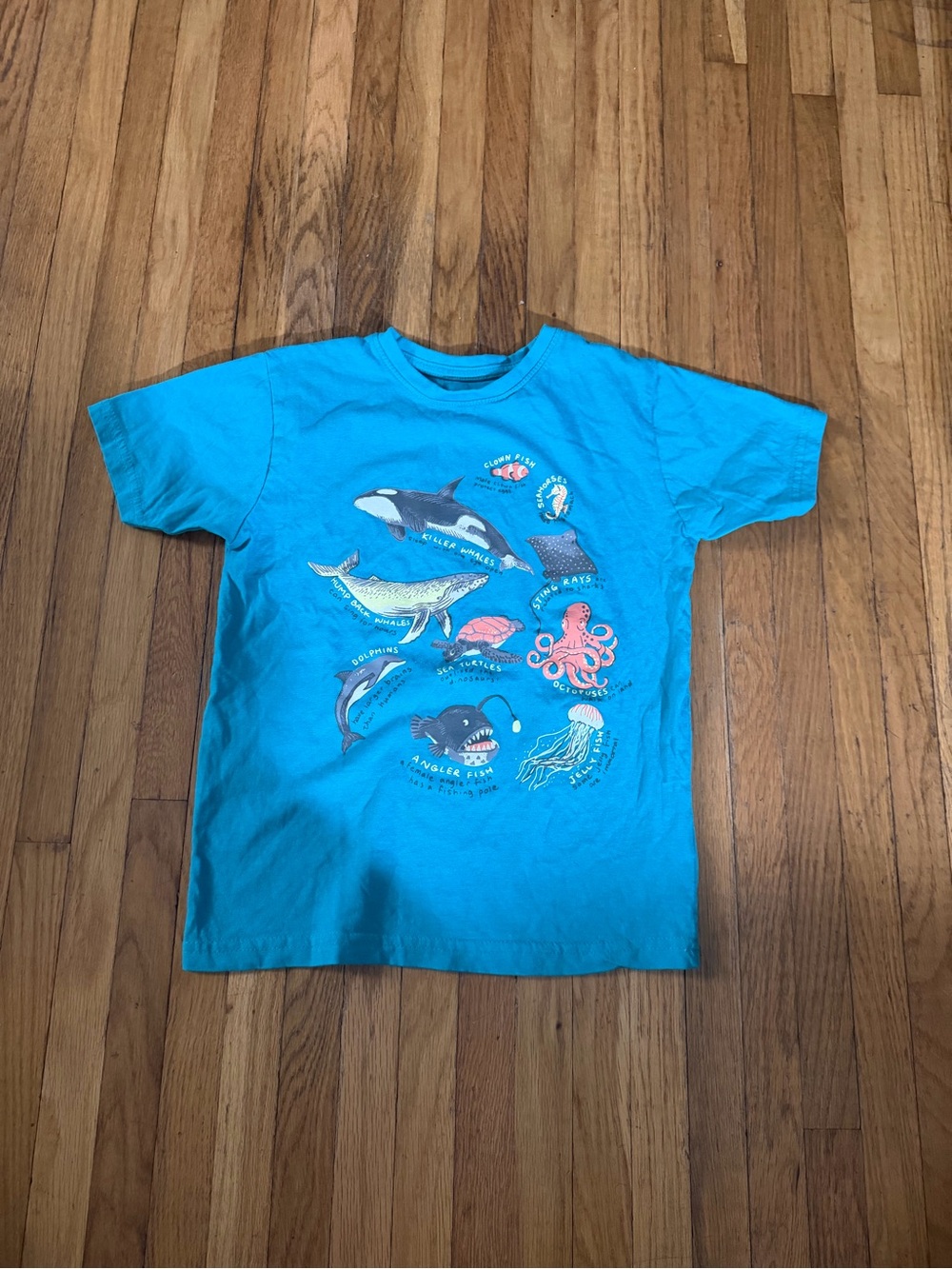 Primark  7-8 Sea Life Graphic Tee